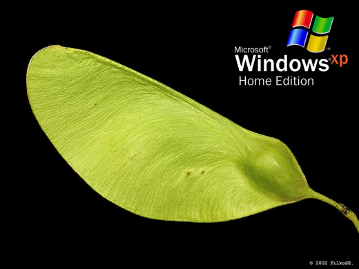 382371 (a): :1024x768
